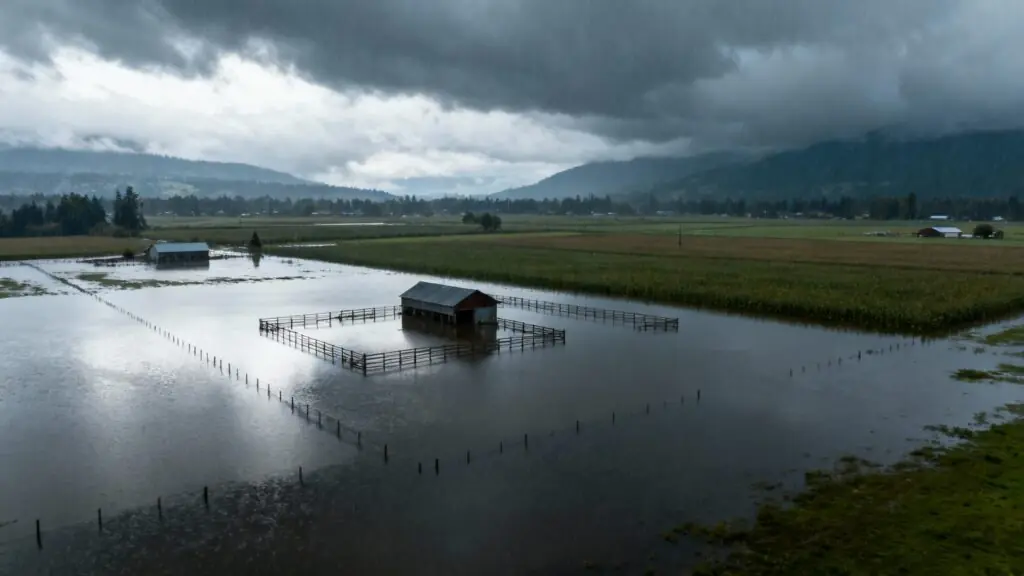 Colombie-Britannique : de nouvelles fortes pluies déclenchent des alertes d’inondation