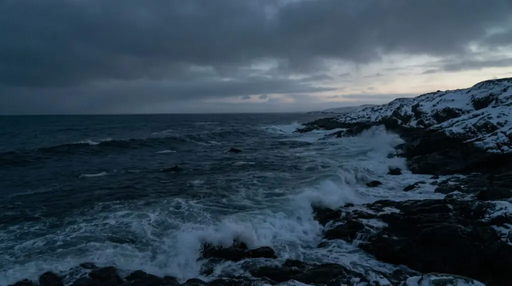 Alaska : Le cri des bélugas face au silence de Washington