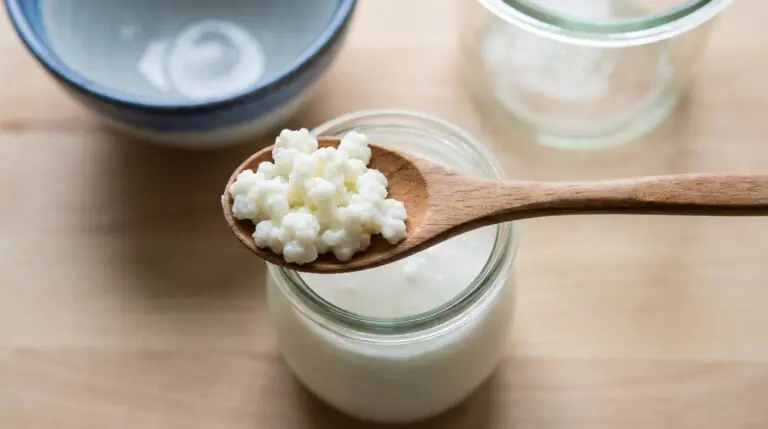 L’étonnant pouvoir de l’intestin : 5 aliments fermentés pour fortifier vos défenses après 45 ans